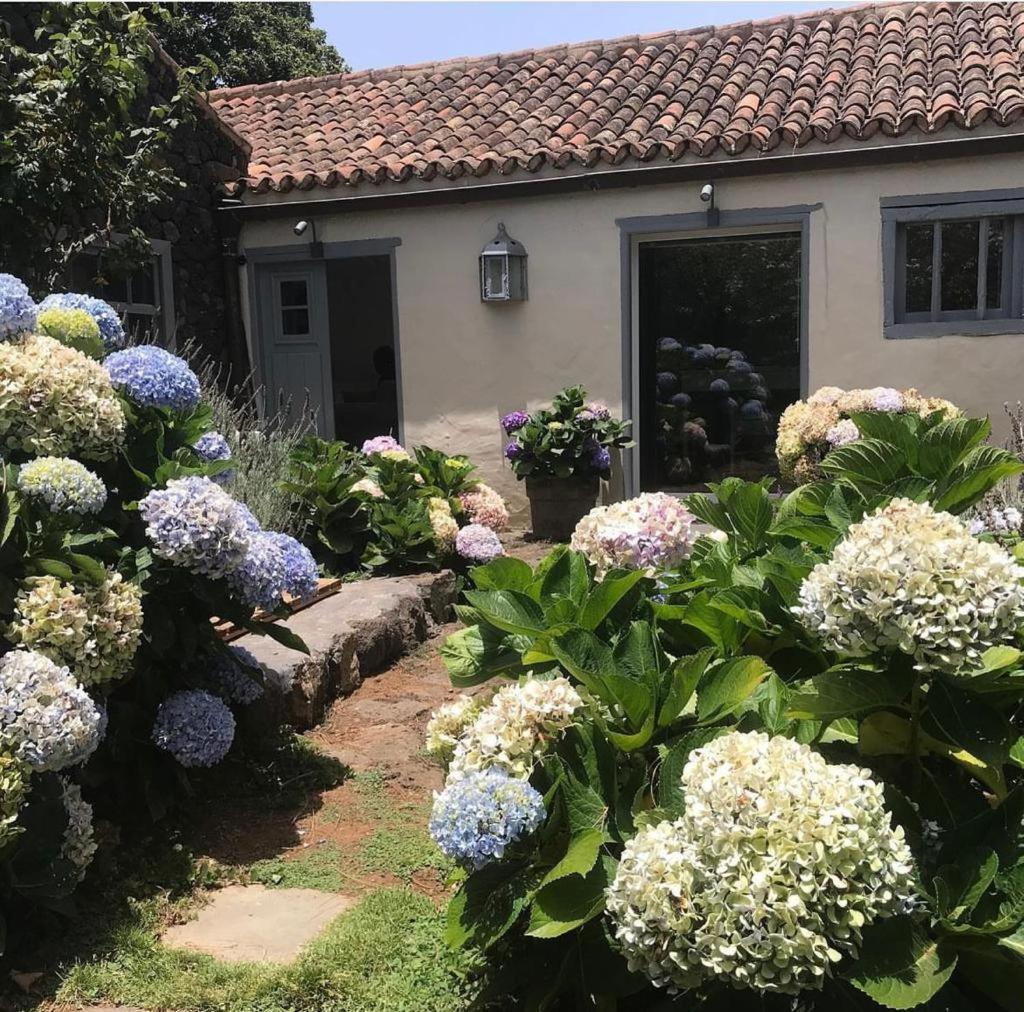 Casas La Principal Guest House San Pedro  Exterior photo